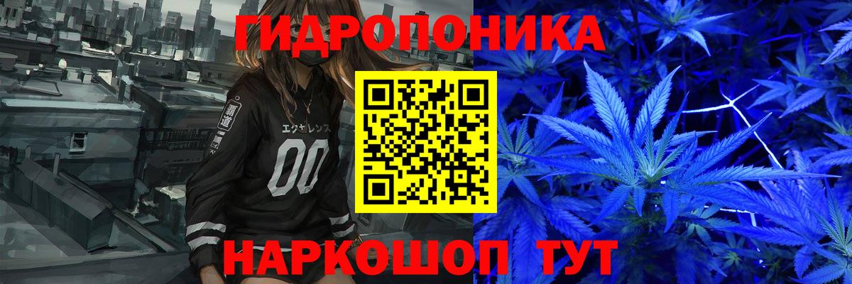 Конопля AK-47  Вход с VPN  Конопля ГИДРОПОН  Шишки марихуана тримм  Карталы 